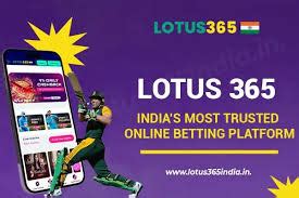 what is lotus365|Understanding Lotus365: A Comprehensive Guide .